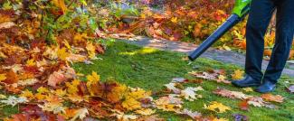 a person removing leaves with a leafblower