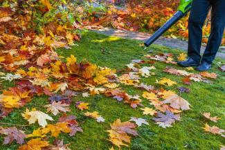 electric leaf blower