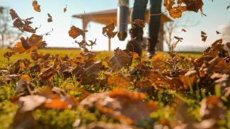 Leaves being blown around by a person with a leaf blower. view from ground level